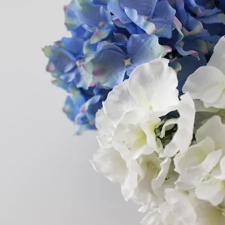 Casa Thalassa Διαμέρισμα