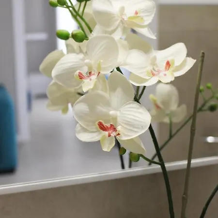 Casa Thalassa Cefalù